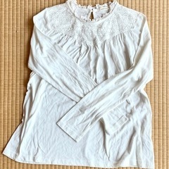 白系Tシャツ2枚組(レディース)+2枚の画像