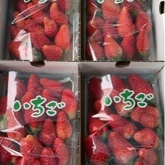 あきひめ　いちご　2パック500円