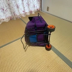 ※決まりました※ショッピングカート　の画像