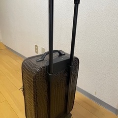 ※決まりました※キャリーバッグ　クロコ型押　ダークブラウンの画像