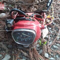 リトルカブ1の画像