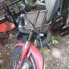 リトルカブ1の画像