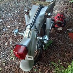 リトルカブ1の画像