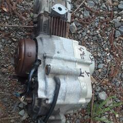 リトルカブ1の画像