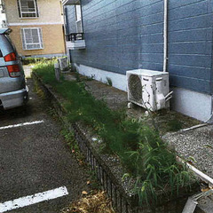 草枯らし噴霧 1時間以内　報酬5000円その日払い（4/13,14,17いずれか）の画像