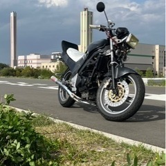 vtz250