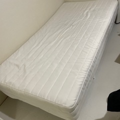 明日午前中までに来れる方