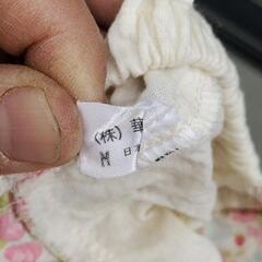 超美品❗小型犬用可愛い中古夏服の画像