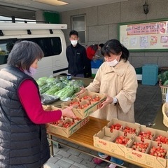 焼き芋あるよ！朝市10時〜