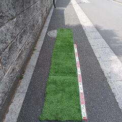 人工芝の画像