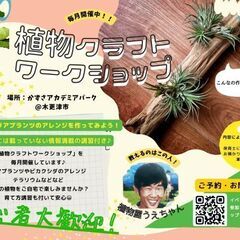 エアプランツ講座&流木アレンジ ワークショップ