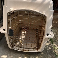 引取先決定済み！Vari Kennel ultra 犬小屋