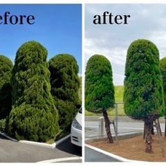 剪定🌿草刈り🍀伐採🌳等、お気軽にご相談下さい😊