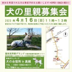 ボランティアグループ「犬の合宿所in高槻」主催。雑種犬がメインの...
