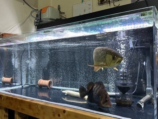 120アクリル水槽、上部濾過セット