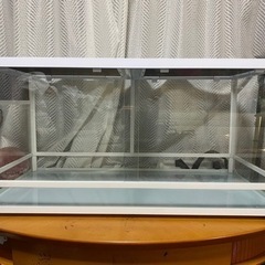 爬虫類・両生類用品の画像
