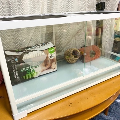 爬虫類・両生類用品