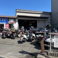 レンタルバイク1ヶ月4800円から50cc〜125cc - その他
