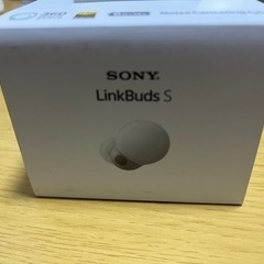 LinkBuds s