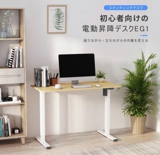 Flexispot 昇降デスク　EG1 天板セット