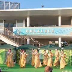 火曜日午前中フラダンスしませんか？の画像