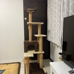 【受け渡し予定者あり】キャットタワー　