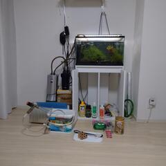 熱帯魚　水槽　飼育道具一式