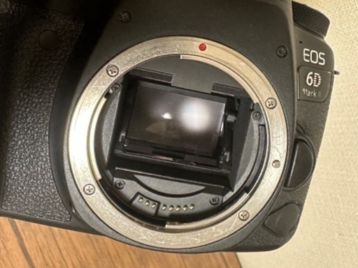 【ショット数少なめ】 CANON EOS 6D MarkII ボディのみ ※箱無し
