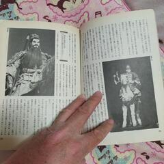 よみがえる三国志伝説 新しい「三国志」の世界が見える本の画像