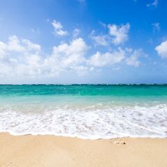 【水揚げSTAFF】レア求人募集◎<週5〜賞与年2回>誰でもでき...