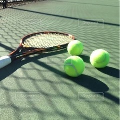 テニスしませんか🎾 - 高崎市