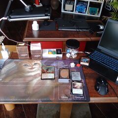 カードゲーム(マジック：ザ・ギャザリング)関連のイベント・事務作...