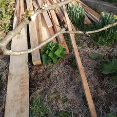 木材、廃材さし上げます。たき木、キャンプ、DIY、薪 の画像