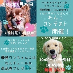 うちの子自慢♡ワンココンテスト