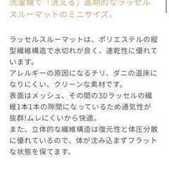 10mois ラッセルスルーマット ミニサイズの画像