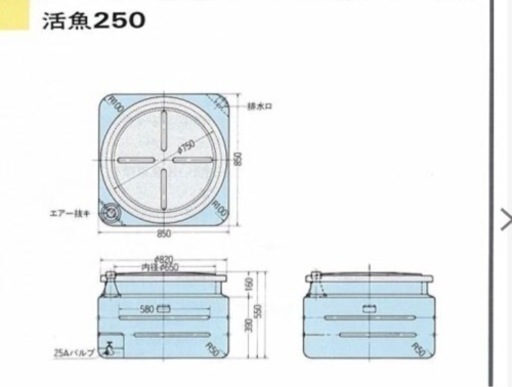 活魚タンク　250