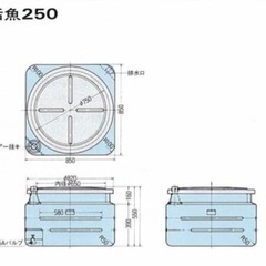 活魚タンク　250の画像
