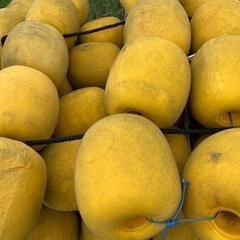 在庫は210
個！ペンドル、フェンダー、アバ、ボンデンの画像