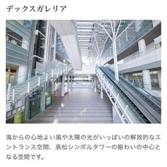 『famfam fes』高松シンボルタワー出店者募集中 - 高松市