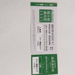 琉球海炎祭チケット１枚