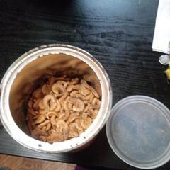 乾燥シュリンプの画像