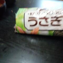 ウサギの餌の画像