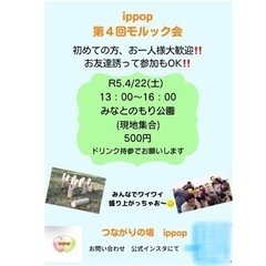 4/22(土)三宮で一緒にモルックしませんか？😊
