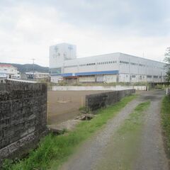 指宿市十町【売地】住宅用地向き 平坦更地151坪480万円※値下げしました - 土地販売/土地売買