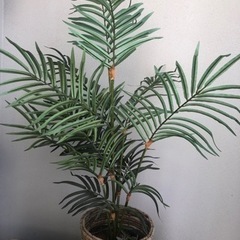 無料！パームヤシのフェイクグリーン（観葉植物）