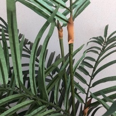 無料！パームヤシのフェイクグリーン（観葉植物）の画像