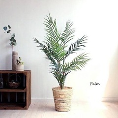 無料！パームヤシのフェイクグリーン（観葉植物）の画像