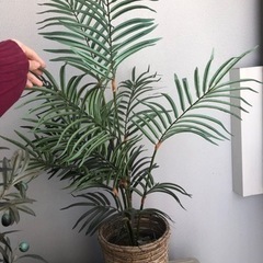 無料！パームヤシのフェイクグリーン（観葉植物）の画像