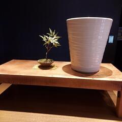 ガーデニング  鉢置き 小物置き台 の画像