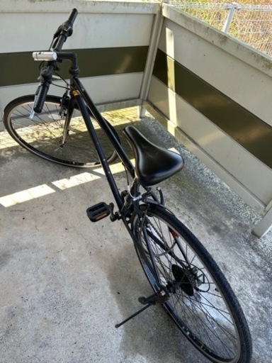 ロードバイク　CAVALLO